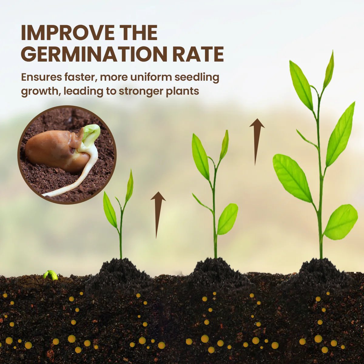 SoilPro – Pflanzenwachstumsaktivator