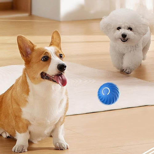 BarkBounce – Interaktiver Hunde-Spielball