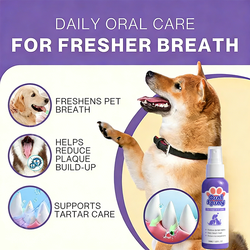 PetSmile – Einfaches Mundpflegespray für Haustiere