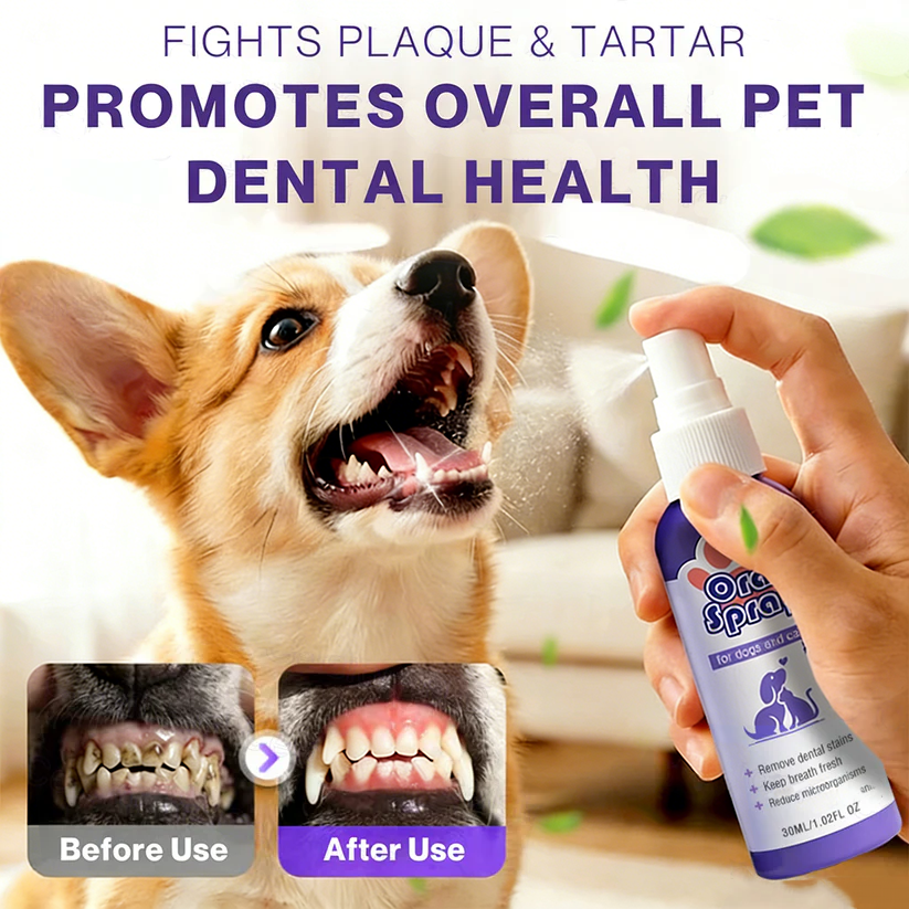 PetSmile – Einfaches Mundpflegespray für Haustiere