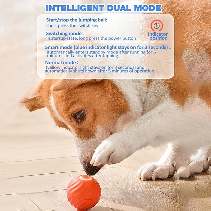 BarkBounce – Interaktiver Hunde-Spielball