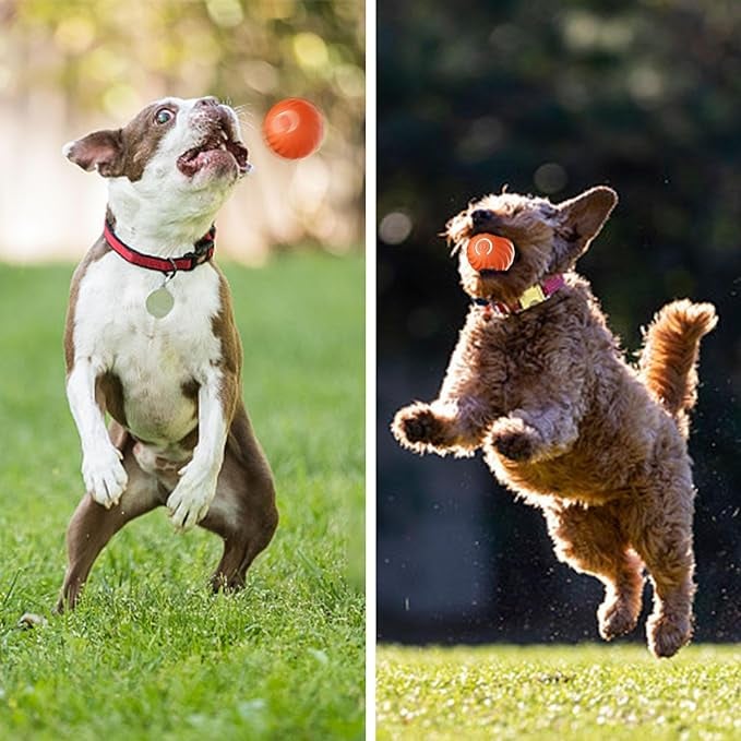 BarkBounce – Interaktiver Hunde-Spielball