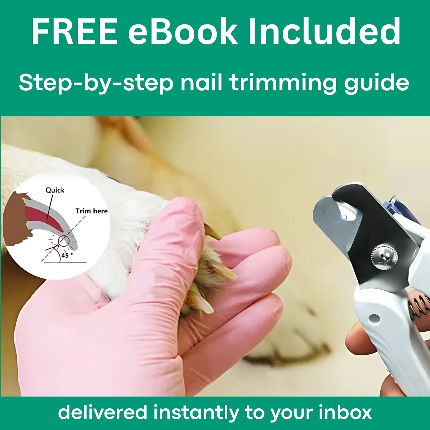 PawCare | 2-in-1-LED-Nagelknipser