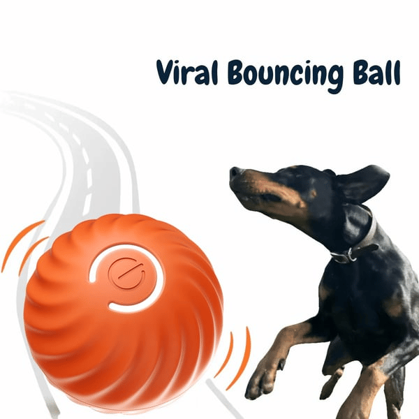 BarkBounce – Interaktiver Hunde-Spielball