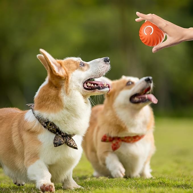 BarkBounce – Interaktiver Hunde-Spielball