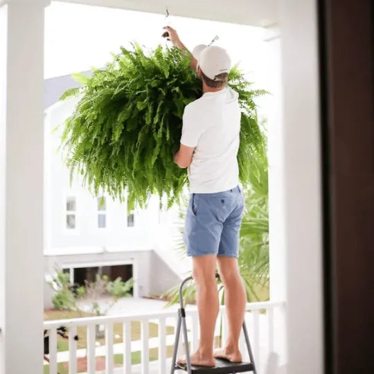 GreenGlow – Realistischer künstlicher Bostonfarn