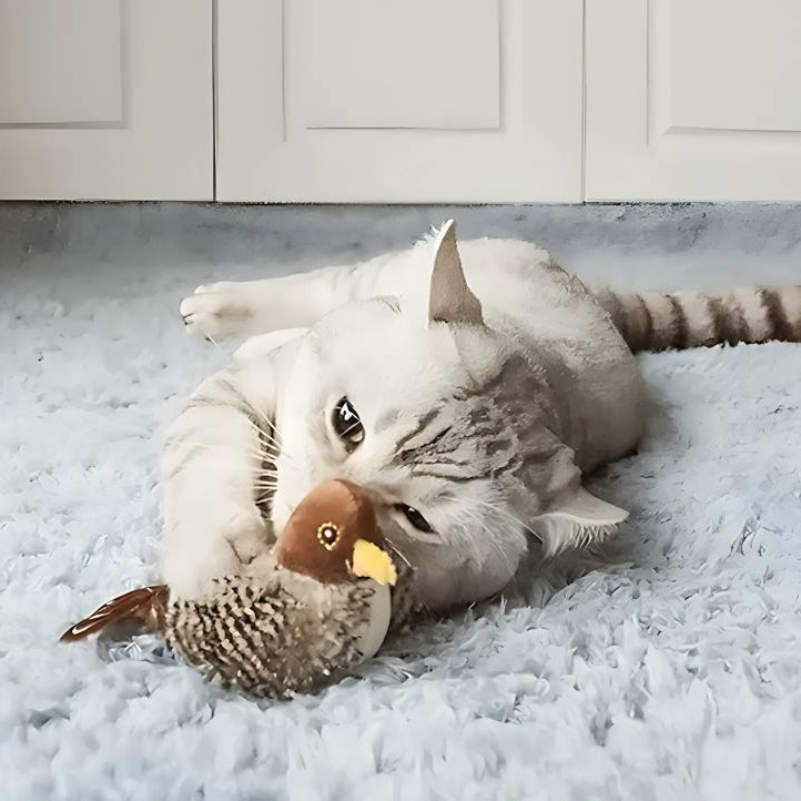 WhiskerChase – Intelligentes interaktives Katzenspielzeug