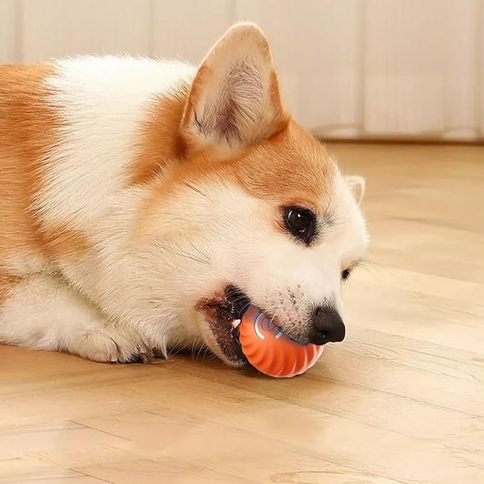 BarkBounce – Interaktiver Hunde-Spielball