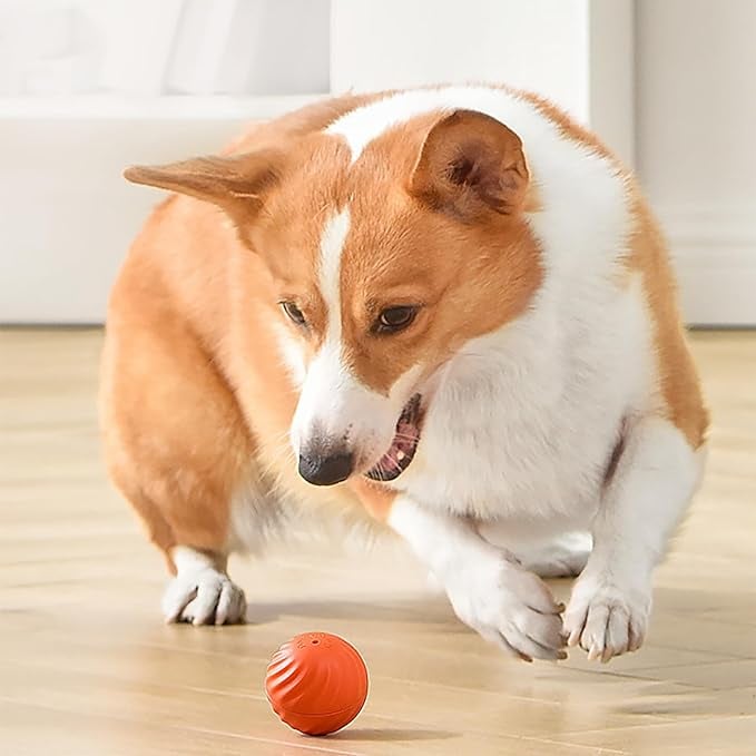 BarkBounce – Interaktiver Hunde-Spielball