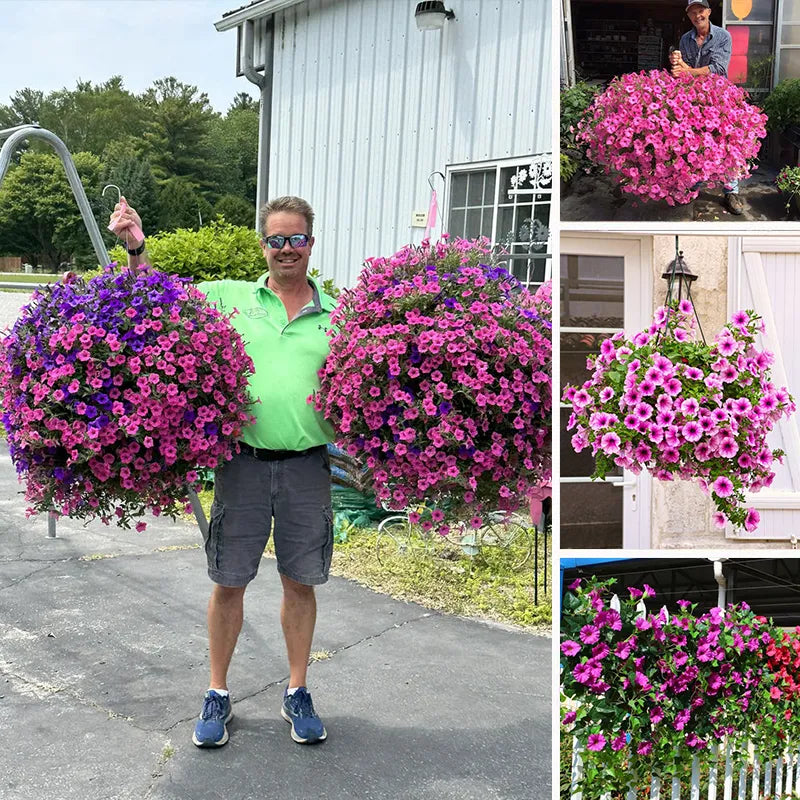 FloraVista – Lebendiger künstlicher Hängepflanzen-Blumenkorb